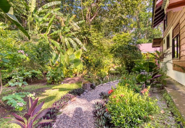 House in Puerto Viejo - Casa Tropical en el Caribe Sur House in Puerto Viejo - Casa Tropical en el Caribe Sur