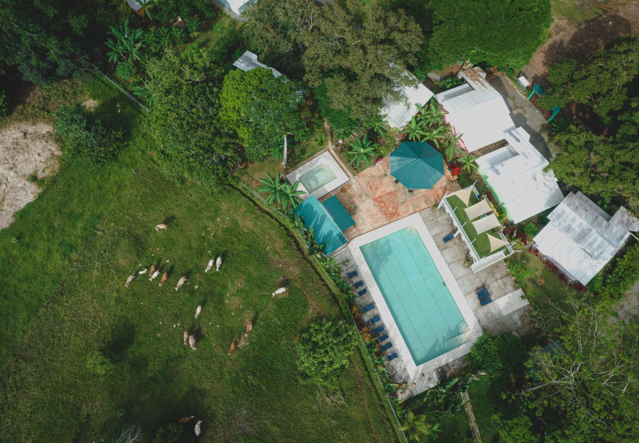 House in Puerto Viejo - Puerto Viejo Club Pool House for 6 PAX