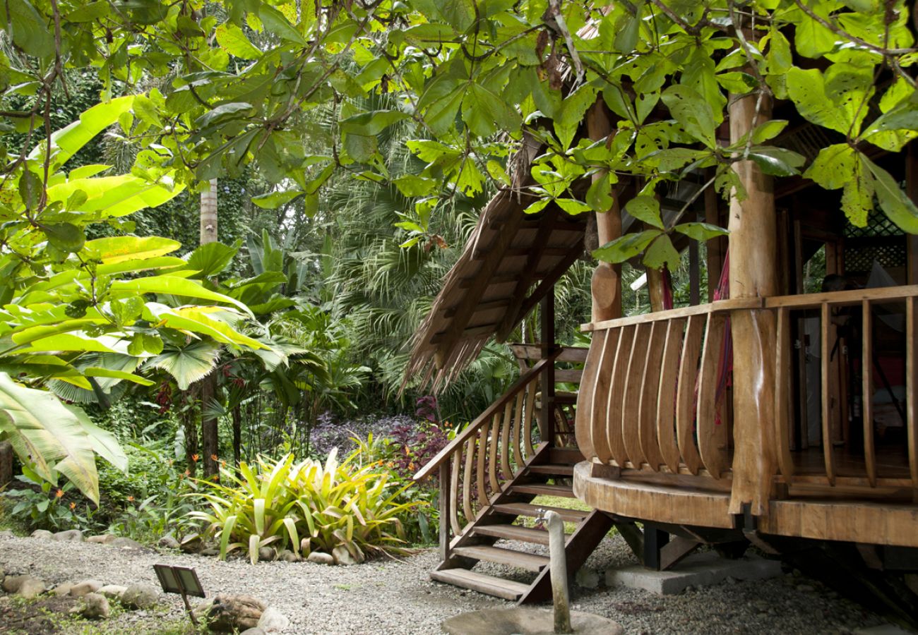 House in Playa Chiquita - The Beach House at Tree House Lodge