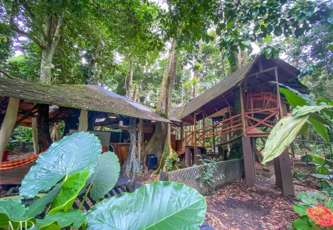 House in Playa Chiquita - The Tree House at Tree House Lodge