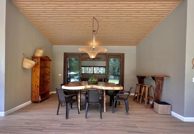 House in Manzanillo - Manzanillo Pool House with FiberOpt House in Manzanillo - Manzanillo Pool House with FiberOpt