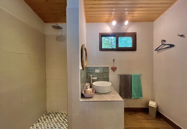 House in Manzanillo - Manzanillo Pool House with FiberOpt House in Manzanillo - Manzanillo Pool House with FiberOpt