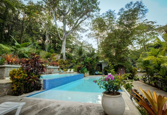 Villa in Punta Uva - Villa Mariposa with in Punta Uva Pool and AC Villa in Punta Uva - Villa Mariposa with in Punta Uva Pool and AC