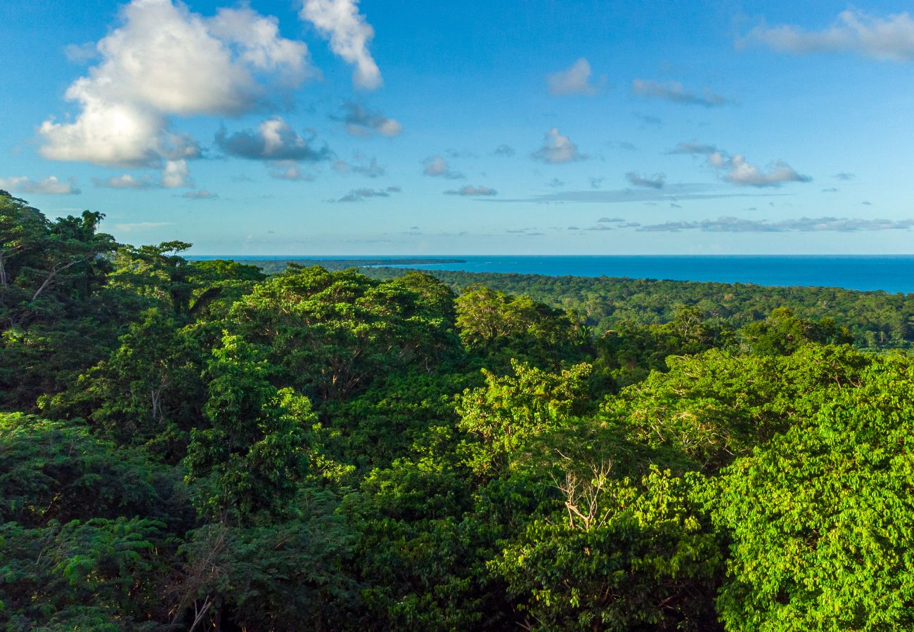 House in Hone Creek - Blue Hill State - 360° Ocean View Jungle Villa