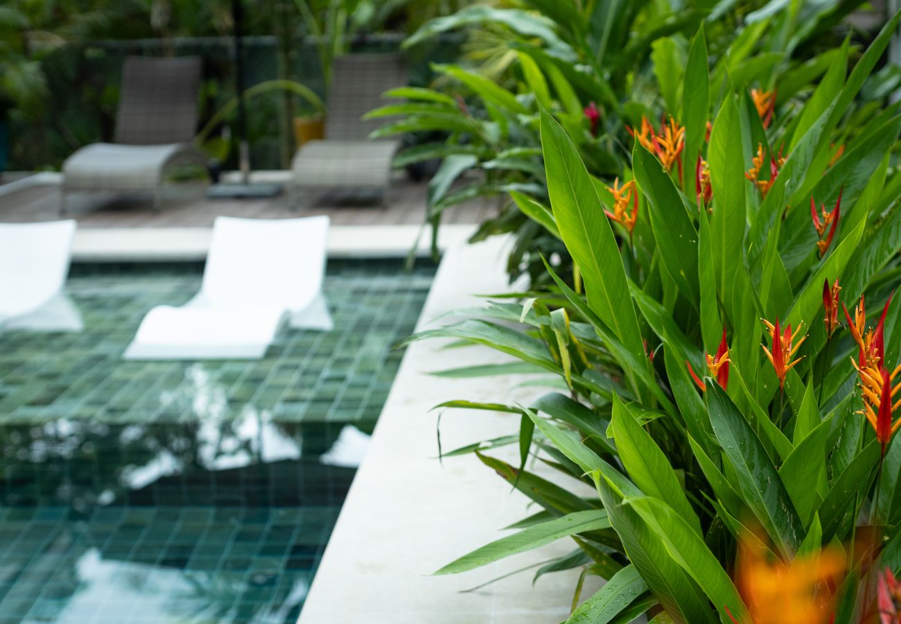 Villa in Cocles - Villas Coral - Luxury Pool House with Beautiful Gardens