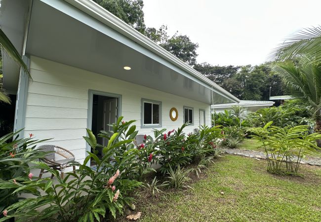 Rent by room in Punta Uva - Standard Room | AC | Pool | Shared Kitchen • Selvatica Rent by room in Punta Uva - Standard Room | AC | Pool | Shared Kitchen • Selvatica