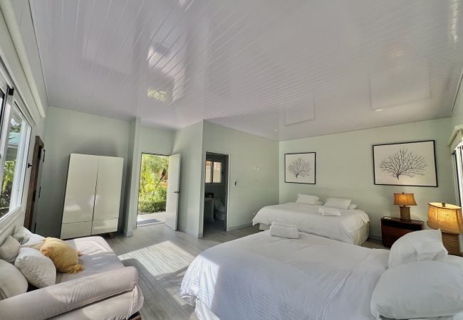 Rent by room in Punta Uva - Doble Supeior Room | AC | Pool | Shared Kitchen • Selvatica Rent by room in Punta Uva - Doble Supeior Room | AC | Pool | Shared Kitchen • Selvatica