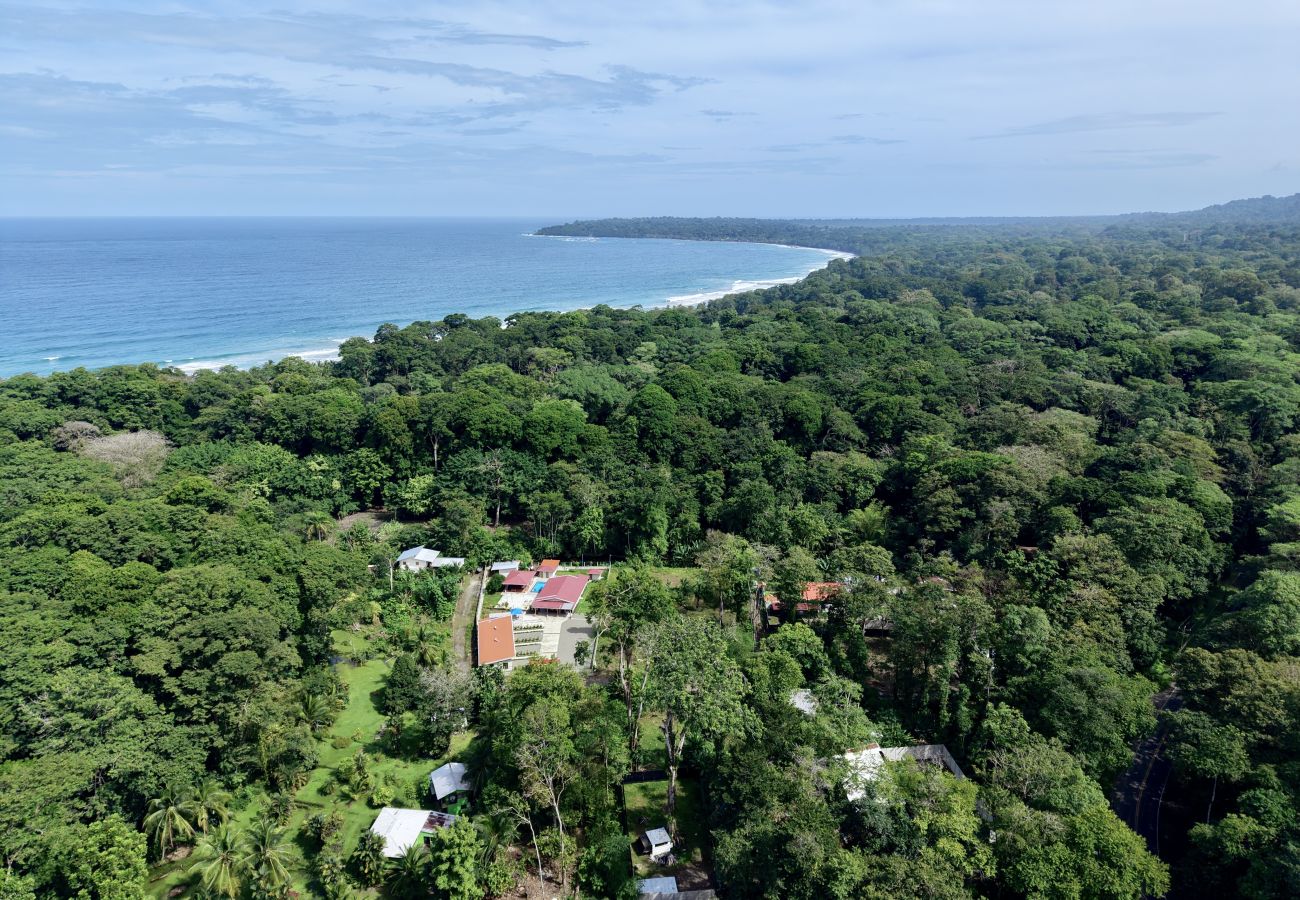 Bungalow in Talamanca - Nalu Punta Uva Lodge 5 min Walk to beach