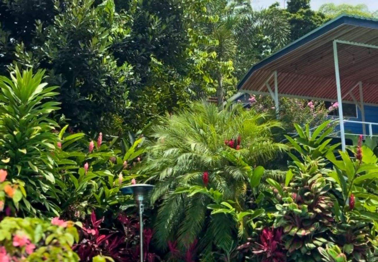 Villa in Puerto Viejo - Casa Kobu Pool House