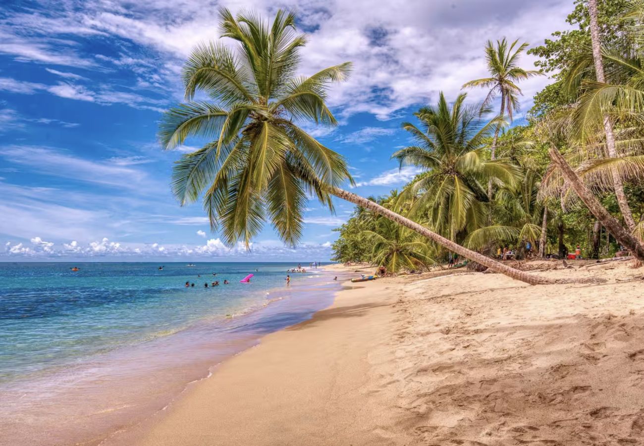 Villa in Punta Uva - TP- Tucan | Beachfront Arrecife, Wifi, AC 