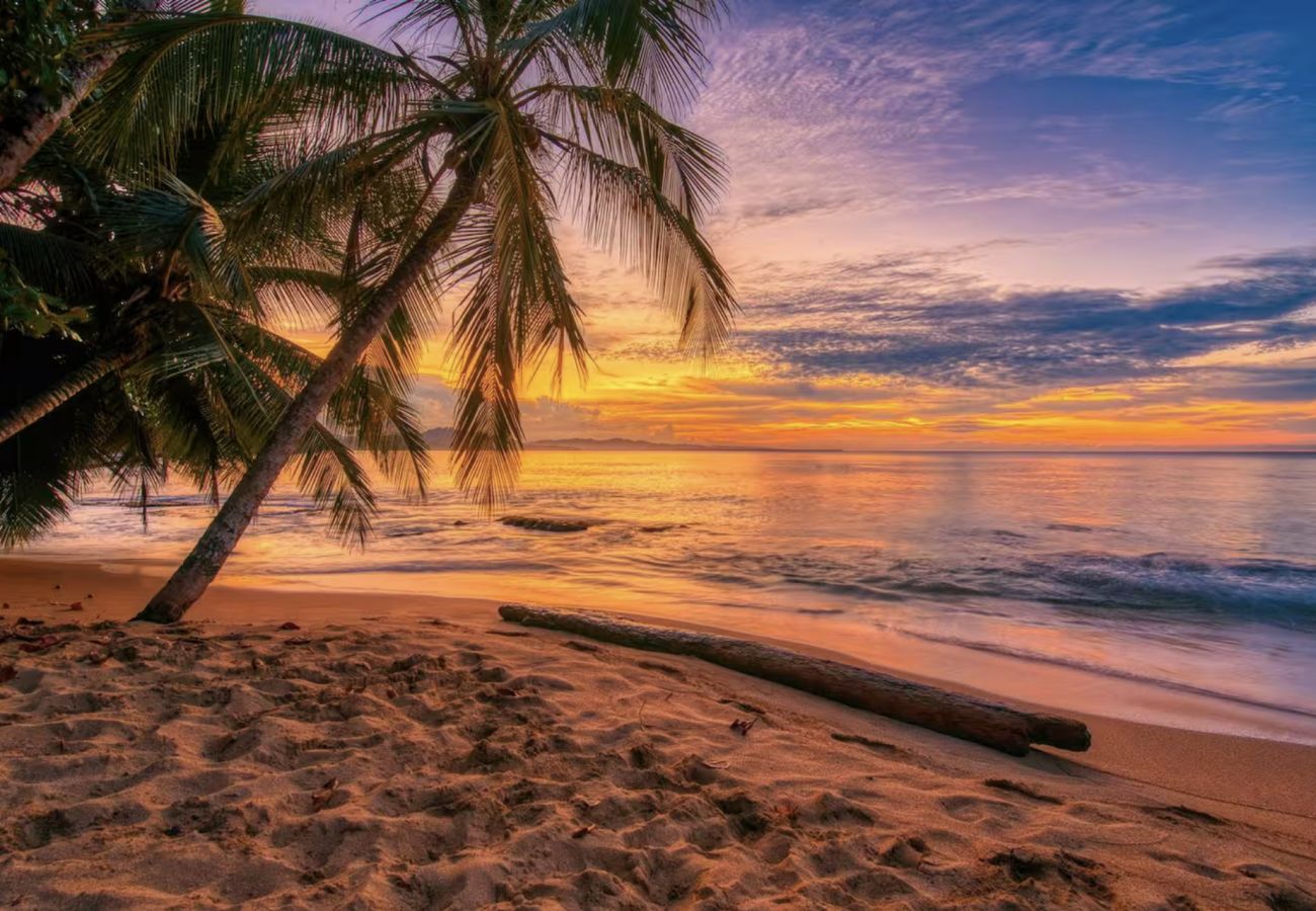 Villa in Punta Uva - Tres Pipas-Mayor | Beachfront Arrecife, Wifi, AC