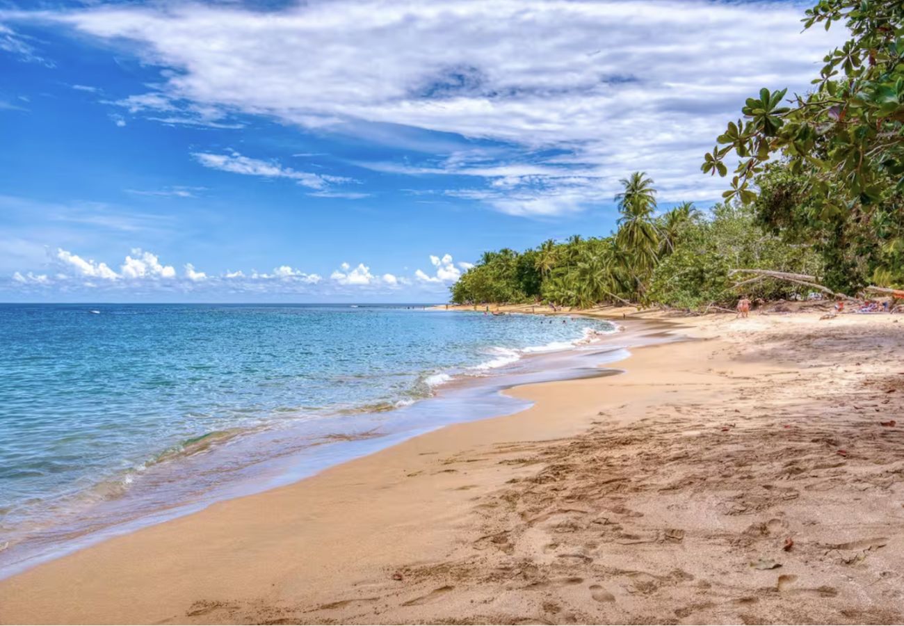 Villa in Punta Uva - Tres Pipas-Selva | Beachfront Arrecife, Wifi, AC