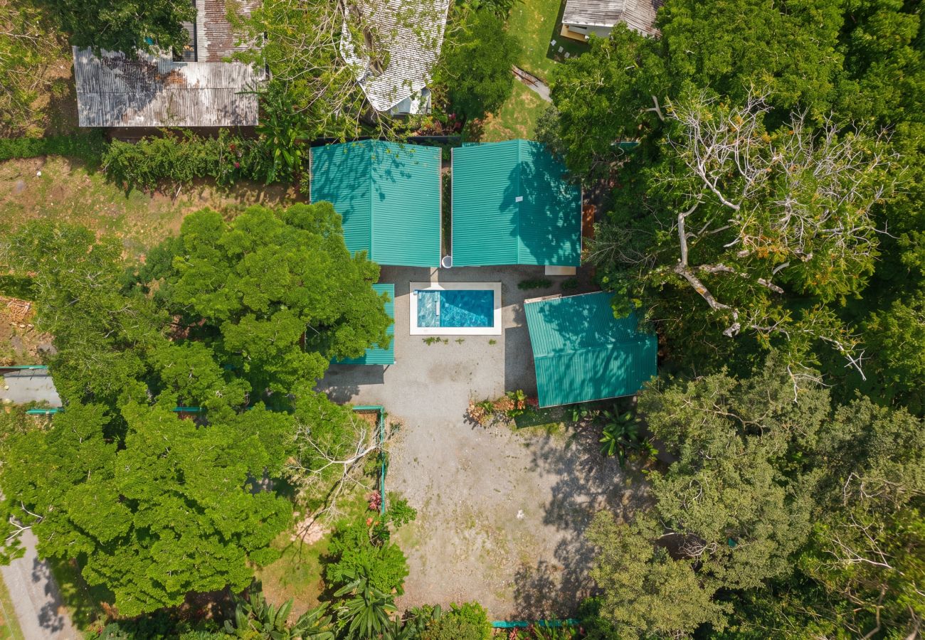 Villa in Puerto Viejo - Jungle Villa Colibri Pool + Starlink + BBQ